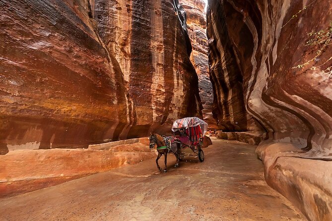 1 Day Tour to Petra From Eilat - Wadi Musa Lunch: A Real Break in the Right Place