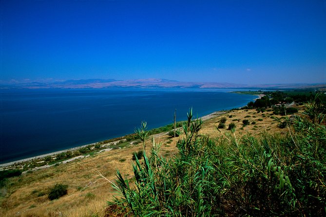 2-Day Northern Israel Tour from Jerusalem: Golan Heights, Nazareth and the Sea of Galilee - Day 1 in the Golan Heights: Katzrin, Antiquities, and Mount Bental