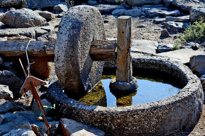 2-Day Northern Israel Tour from Tel Aviv: Golan Heights, Nazareth and the Sea of Galilee - Capernaum, the Church of Multiplication, and the Sea of Galilee Story