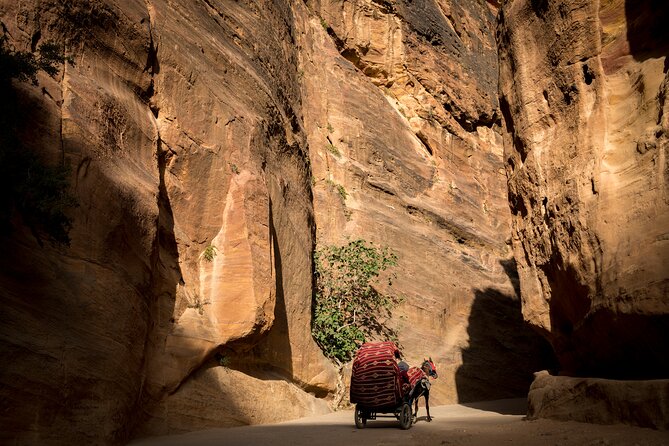 3-Day Petra and Wadi Rum Tour from Tel Aviv - Who this tour suits best, and who should reconsider