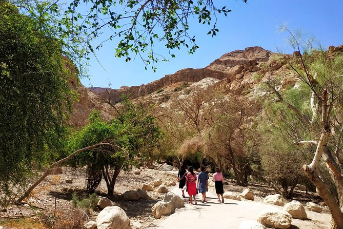 4WD Masada Ein Gedi Judea desert Dead Sea adventure 4x4 Tour. - Masada National Park: Cable Car Up, Ruins Walk, and the 2,000-Year Story