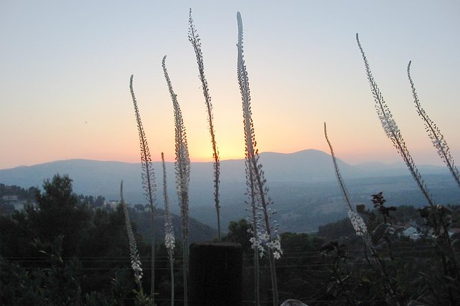 A Day of Spiritual Discovery in the Upper Galilee - Meet Rabbi Amichai and the style of learning you get on this tour