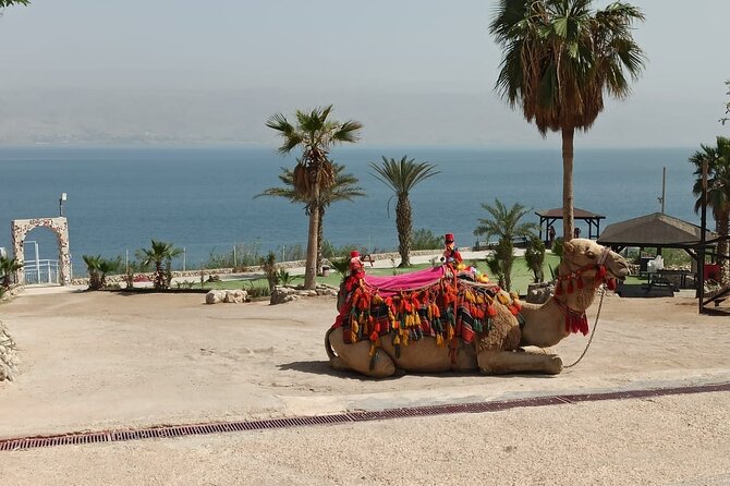 Bethlehem & The Dead Sea Full Day Tour from Jerusalem/TLV - St. Catherine, Milk Grotto, and Shepherds Sanctuary: small stops with heavy themes
