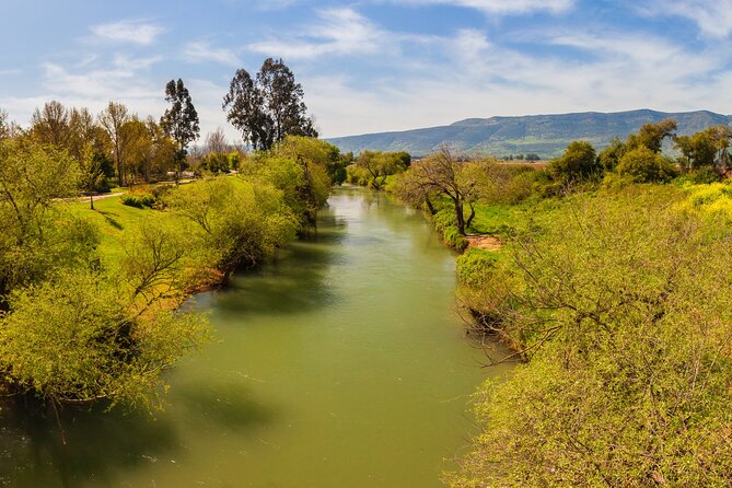Biblical Highlights of the Galilee Tour From Tel Aviv - Church of the Annunciation: the big basilica and Mary’s message tradition