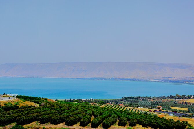 Biblical Highlights of the Galilee Tour From Tel Aviv - Capernaum ruins: the synagogue area where Jesus taught