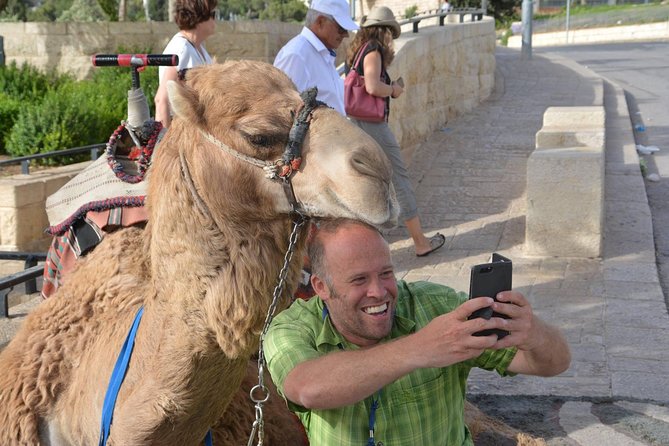 Boutique Walking Tour of Jerusalem - Via Dolosa to the Western Wall: two sacred routes, different vibes