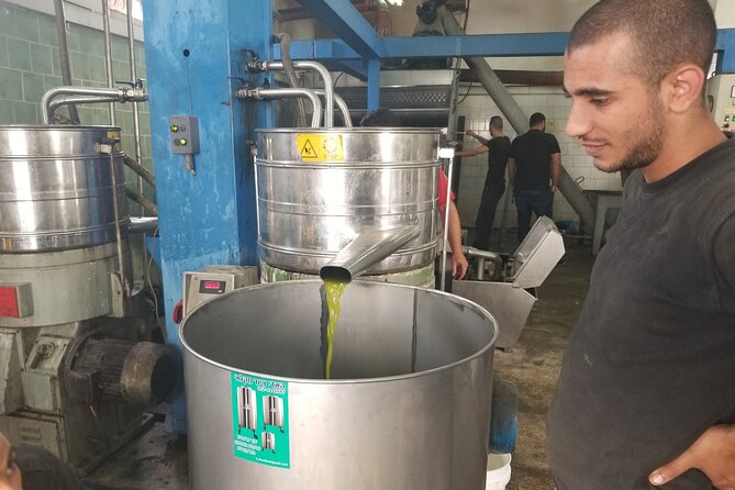 Culinary Day Tour of the Galilee - Deir Hanna Mill and Old Olive Trees: Bread, Bulgar, and Patience