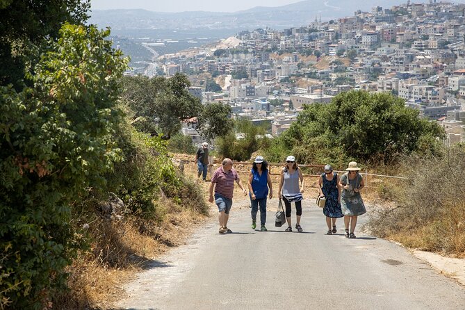 Culinary Day Tour of the Galilee - Lunch in a Local Home, Plus Druze Sweets and Vineyard Wine