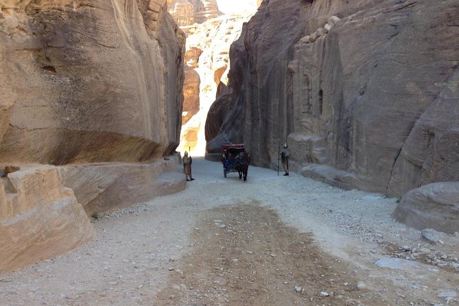 Day Tour to Petra by Bus from Tel Aviv - Petra with a guide, what your one-day visit can cover