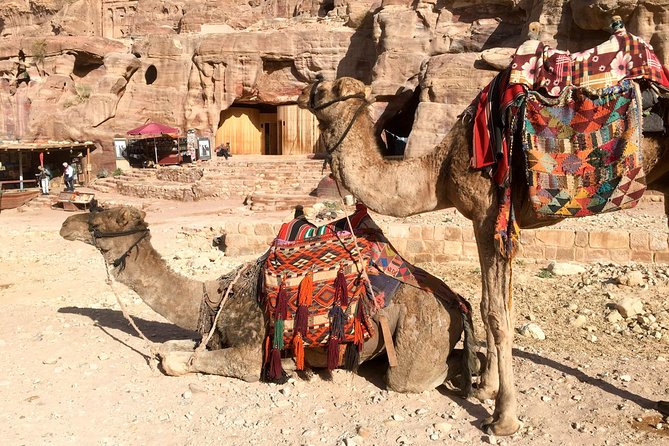 Day Tour to Petra from Eilat - Petra With a Guide: What You’ll See in Your Limited Time