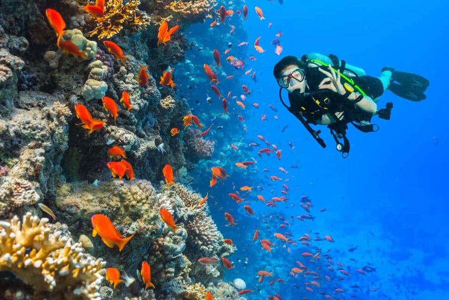 Eilat: Intro to Diving with Certified Instructor - Your 30 Minute Underwater Exploration in Clear Red Sea Water
