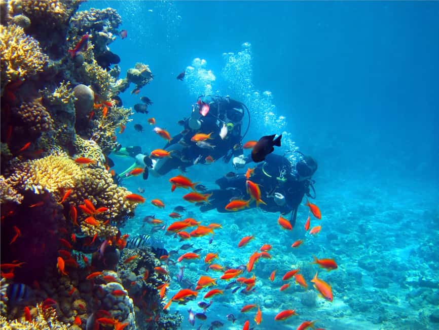 Eilat: Intro to Diving with Certified Instructor - Instructor-Led Confidence: Friendly Experts in Control