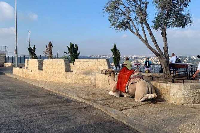 Explore Jerusalem's Old City - Muslim Quarter bazaar walk and the Dome of the Rock viewpoints