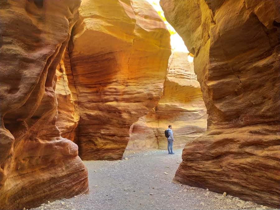 From Eilat: Red Canyon Guided Tour - A Pink Canyon Walk Plus Off-Road Jeep Time