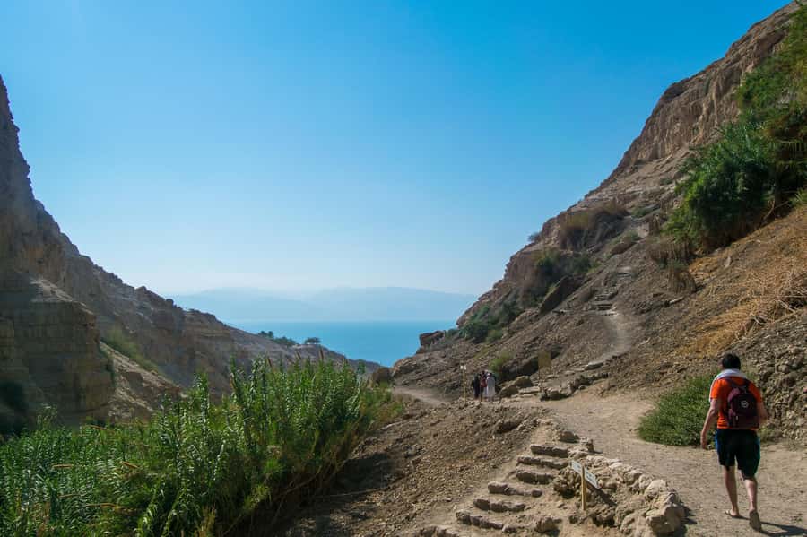 From Jerusalem: Masada at Sunrise, Ein Gedi & Dead Sea Tour - Who This Tour Is Best For