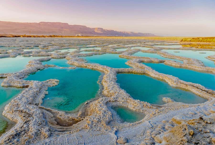 From Jerusalem: Masada&Dead Sea Tour INCLUDING ENTRANCE FEES - A packed, high-impact 10-hour day: Masada plus Dead Sea floating