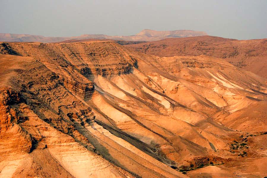 From Jerusalem: Masada&Dead Sea Tour INCLUDING ENTRANCE FEES - Dead Sea floating: the fun part, plus the entry reality