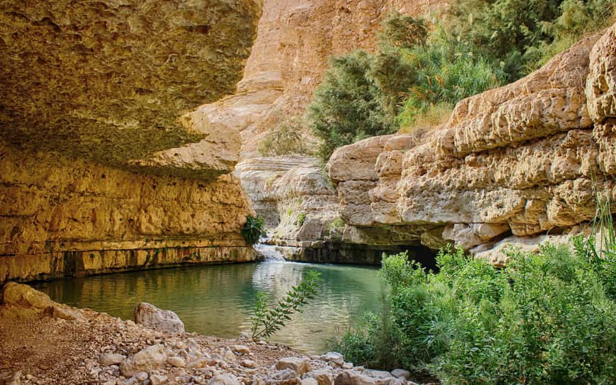 From Jerusalem: Masada Sunrise, Ein Gedi & Dead Sea Day Trip - Key Highlights You Should Know