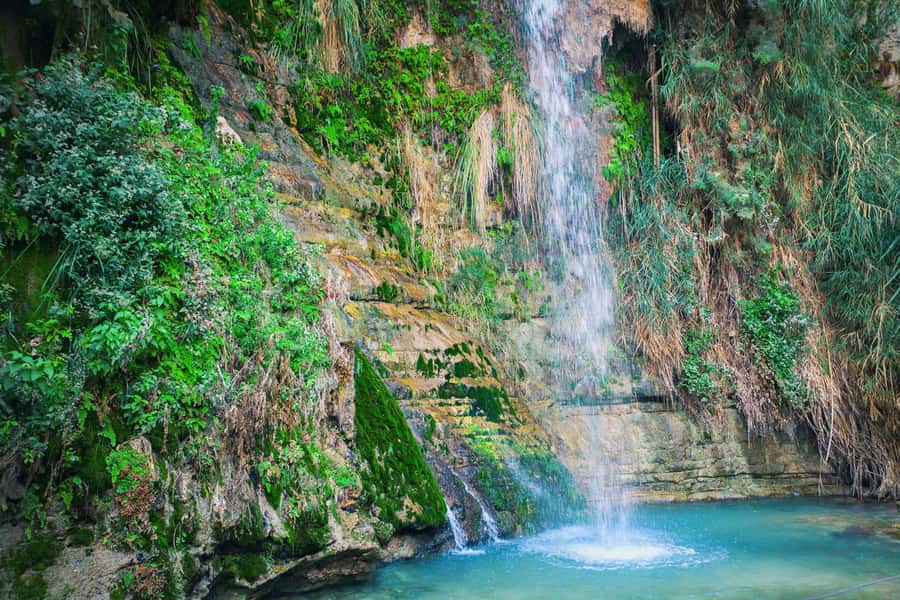 From Jerusalem: Masada Sunrise, Ein Gedi & Dead Sea Day Trip - Who This Trip Fits Best (And Who Might Want Something Slower)