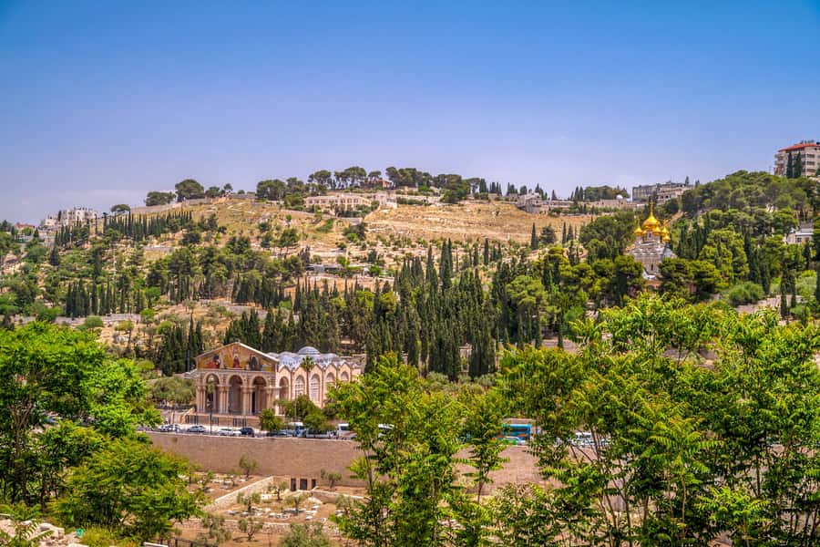 From Jerusalem Small group tour Old&New City ENTRY FEES INCL - How a 450-minute route keeps you moving in Jerusalem