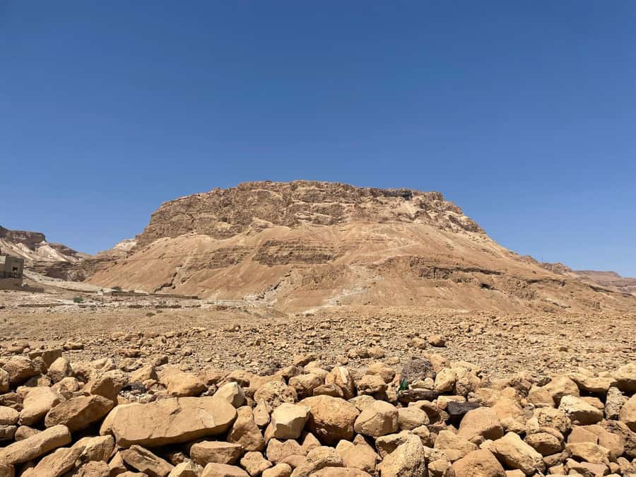 From Jlm : Masada Dead Sea Small Group Tour INCL. ENTRY FEES - Who Should Book This Masada and Dead Sea Tour