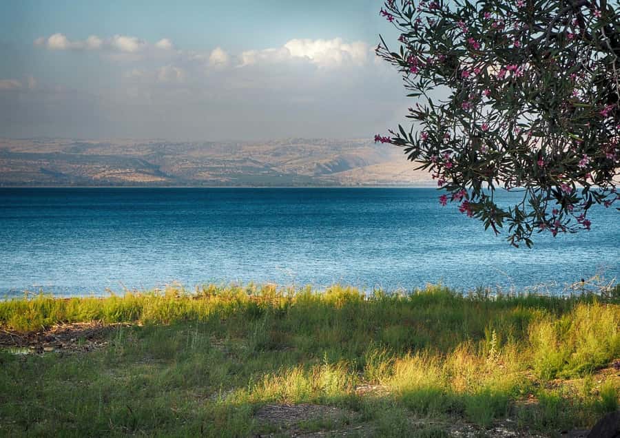 From Tel Aviv: Christian Galilee and Nazareth Day Trip - The guide makes or breaks the day