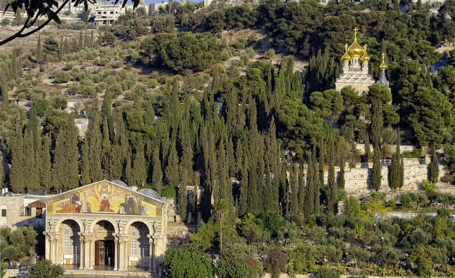 From Tel-Aviv: Day Tour to Origins of Christ in Jerusalem - Key highlights worth planning around