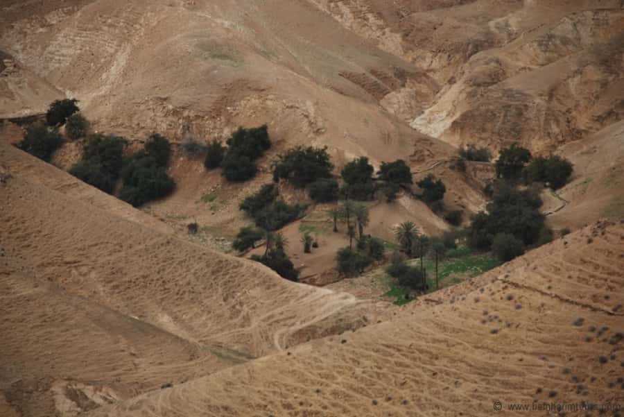 From Tel Aviv: Dead Sea Visit & Desert Safari - Tel Aviv to the Dead Sea, with desert driving that actually changes the day