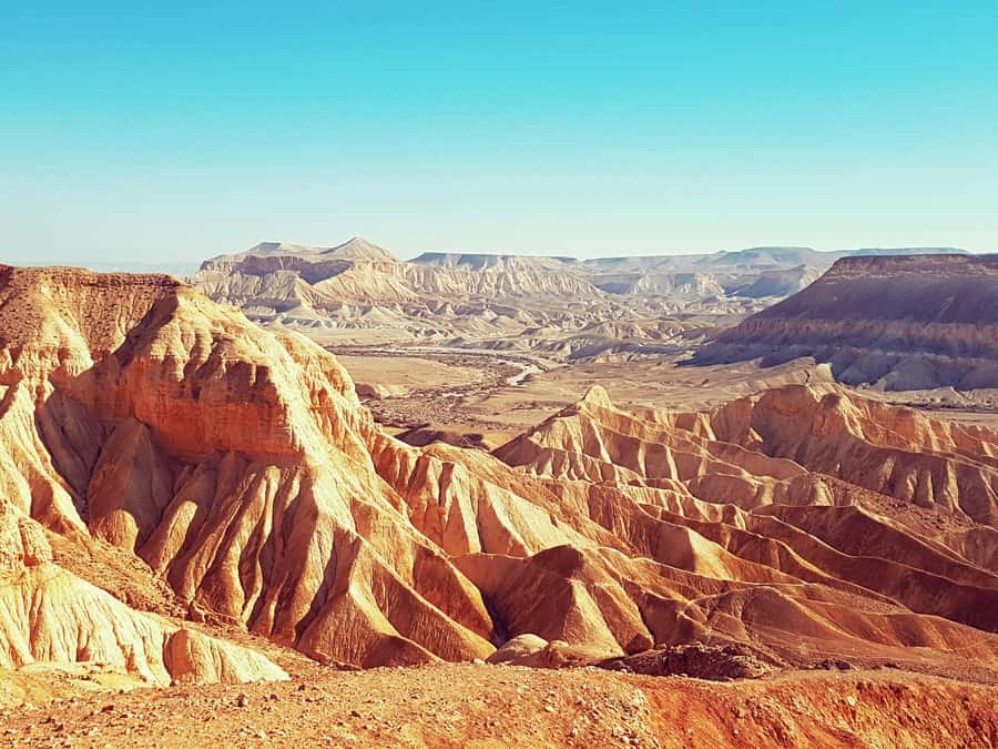 From Tel Aviv: Dead Sea Visit & Desert Safari - Price and value: what $160 includes, and what it leaves out