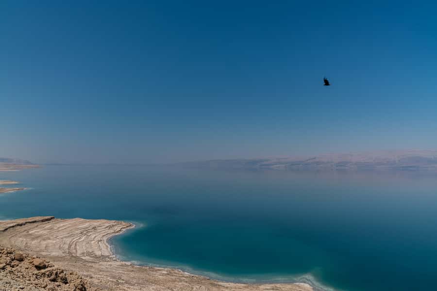 From Tel Aviv: Dead Sea Visit & Desert Safari - Who this tour fits best