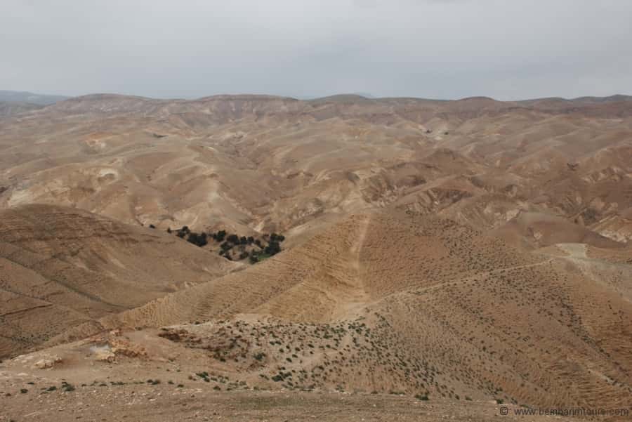 From Tel Aviv: Dead Sea Visit & Desert Safari - Pickup, timing, and why the route feels intentional