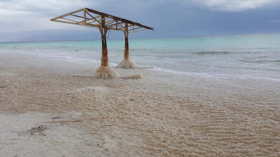From Tel Aviv: Full-Day Dead Sea Relaxation Tour - Price and Value at $1,604 Per Person: What You Get for the Money