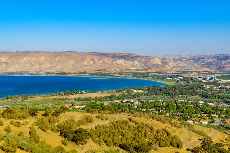 From Tel Aviv: Golan Heights Tour - Golan Antiquities Museum, Gamla, and why archaeology needs context