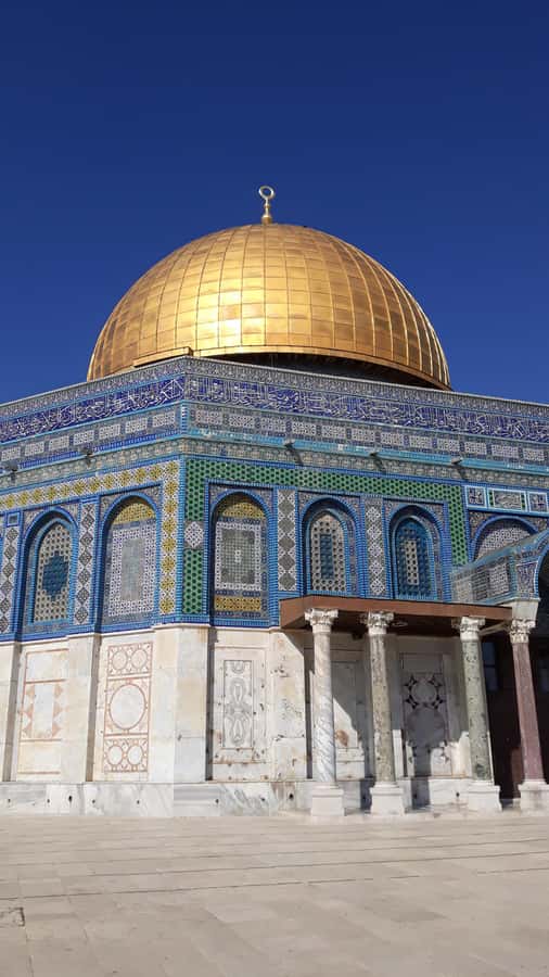 From Tel Aviv: Jerusalem Old City Guided Tour - From Mount of Olives to the Western Wall, with foot-level context