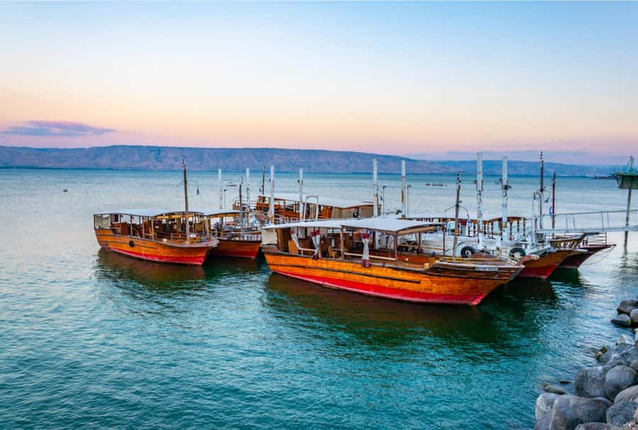 From Tel Aviv: Jordan River, Nazareth, & Sea of Galilee Tour - The guide and the group experience: what you can realistically expect