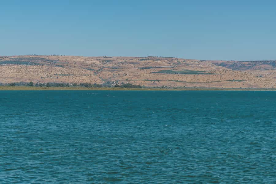 From Tel Aviv: Magdala, Mount of Beatitudes, and Cana Tour - Key highlights you should care about