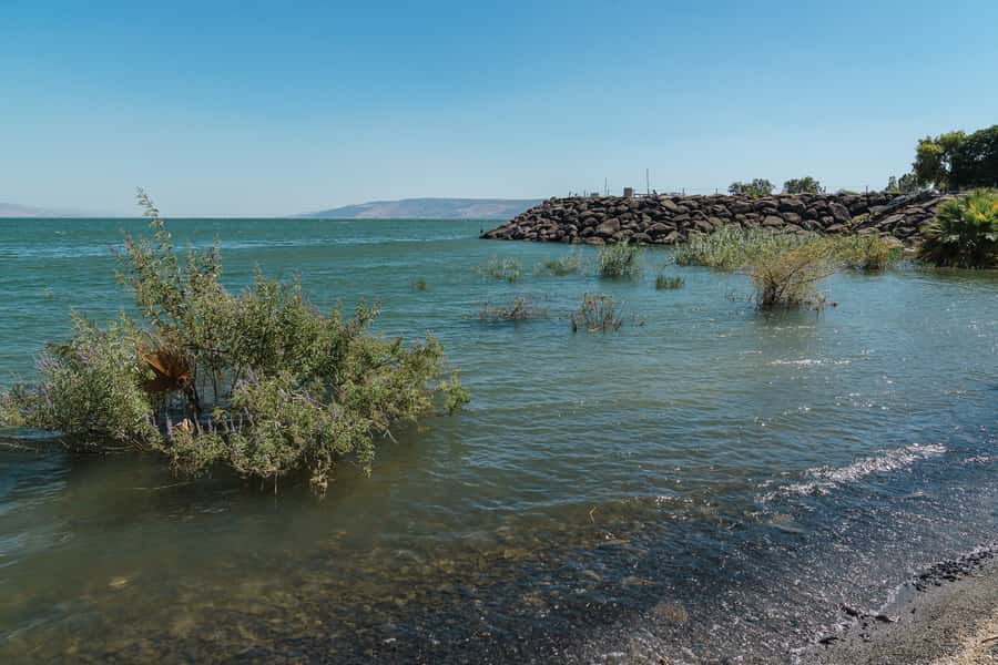 From Tel Aviv: Magdala, Mount of Beatitudes, and Cana Tour - Why this Tel Aviv to Galilee circuit is easier to enjoy than doing it solo