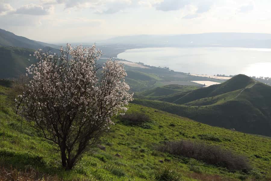 From Tel Aviv: Magdala, Mount of Beatitudes, and Cana Tour - Ginosar and the Beit Yigal Allon Museum boat: seeing the Sea of Galilee as fishermen did