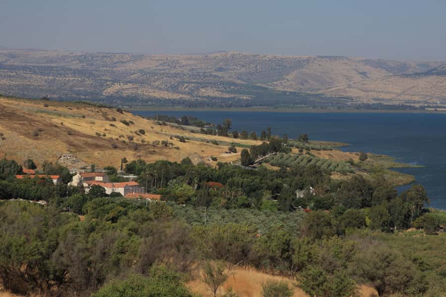 From Tel Aviv: Magdala, Mount of Beatitudes, and Cana Tour - Magdala: Mary Magdalene’s home area and the Second Temple synagogue clue