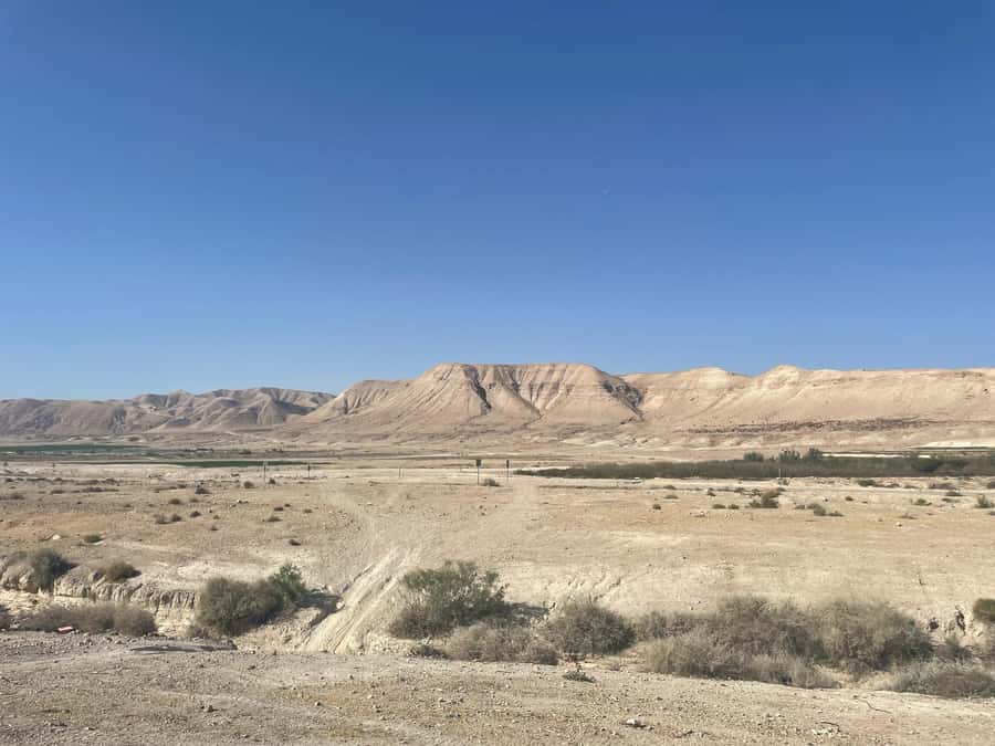 From Tel Aviv: Masada &Dead Sea Tour INCLUDING ENTRANCE FEES - Cable Car Up Masada: The Best Way to Start Your Climb