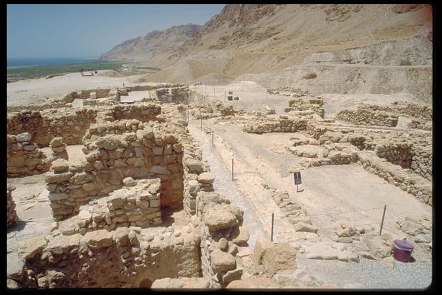From Tel Aviv: Masada &Dead Sea Tour INCLUDING ENTRANCE FEES - Getting From Tel Aviv: Hotel Pickup and Bus Reality