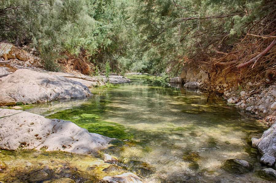 From Tel Aviv: Masada, Ein Gedi & Dead Sea Tour - The road trip start: Israeli Textile Center pickup and van comfort