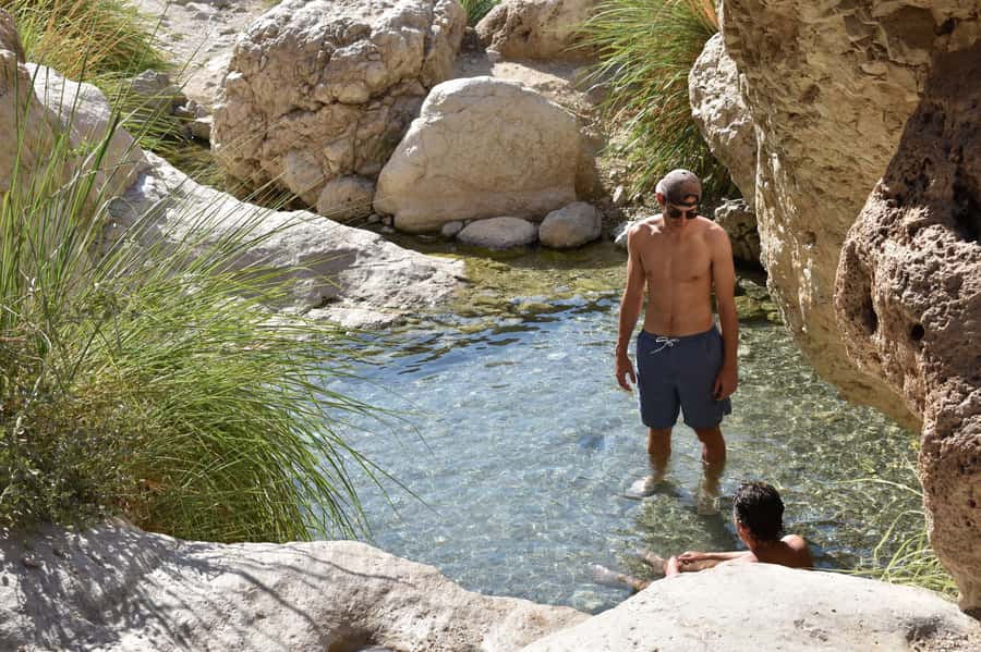 From Tel Aviv: Masada Sunrise, Ein Gedi and Dead Sea Tour - Ein Gedi Nature Reserve: Green Oasis, Wildlife, and a Short Window