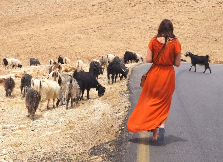 From Tel Aviv: West Bank Day Tour - Price and value: is $162 worth it for a full West Bank day?