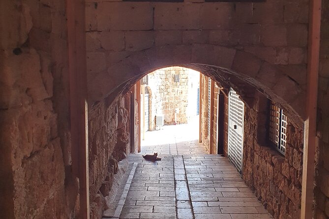 Full-Day Private Tour from Haifa to Old City of Acre - Key highlights worth planning around