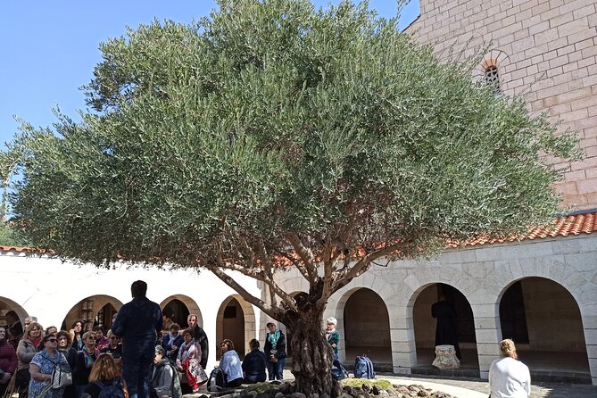 Full Day Tour to Nazareth and the Sea of Galilee - Capernaum: A Short Stop with Big Teachings Energy