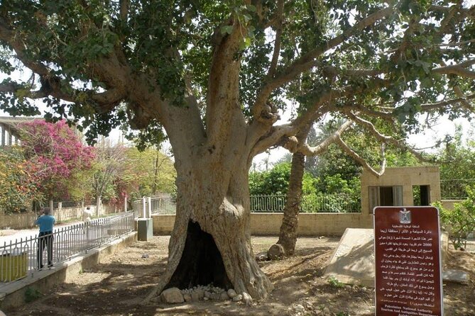 FullDay Bethlehem Jericho Guided Tour From Jerusalem -small group - Olive wood factory stop, snacks, and toilet breaks that make the day doable
