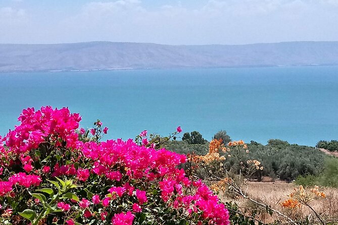 Galilee Day Tour - Key things to know before you go