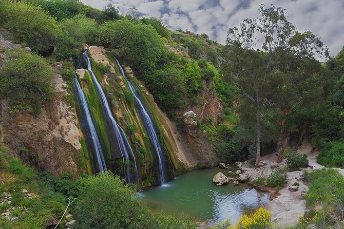 GoKEDEM Golan Heights ATV Action & Wine-Tasting Tour From Tel Aviv - Quick hit points