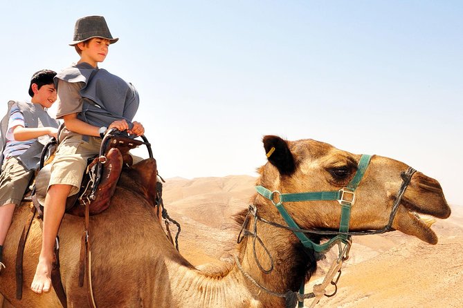 GoKEDEM Masada, DeadSea Camel Ride & Beduin Feast Tour From Tel Aviv - Price and What You Should Compare Before Paying $599